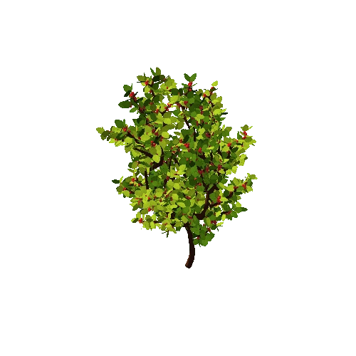 Second bush v2